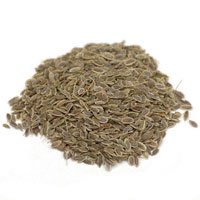 Dill Seed (Anethum graveolens) 1 Oz. Package